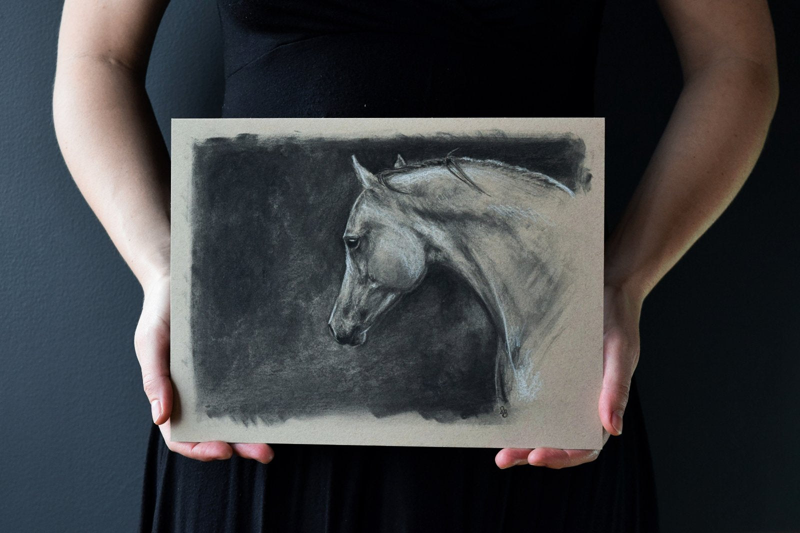 Charcoal horse head drawing by Susie Benes