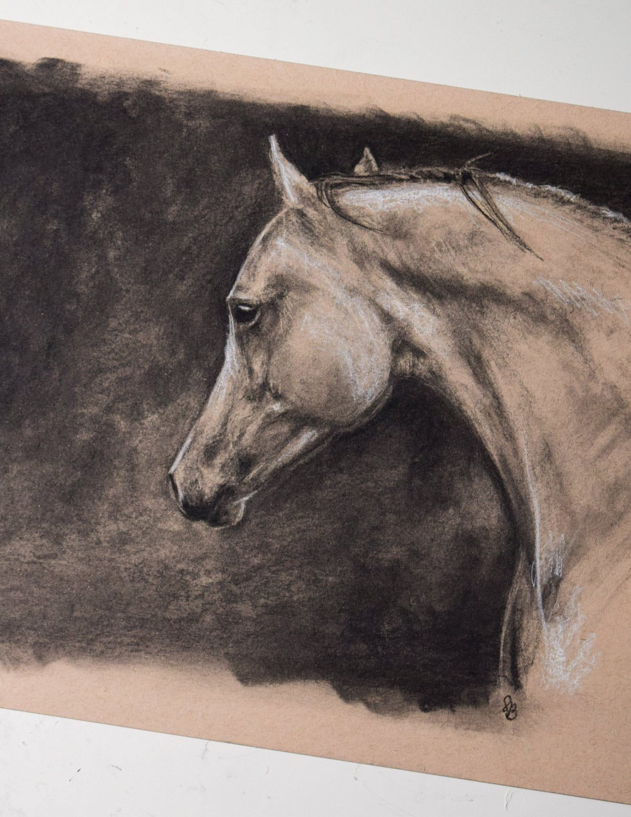 Charcoal Arabian horse head drawing